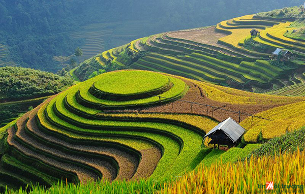Thời[-]tiết[-]ngày[-]5[-]tháng[-]8:[-]Vùng[-]núi[-]phía[-]Bắc[-]vẫn[-]có[-]nguy[-]cơ[-]xảy[-]ra[-]sụt[-]lún[-]đất
